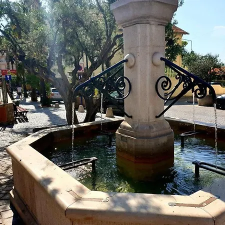 Lv280-g025 2 Couchages Le Lavandou